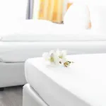 Ambiente Μούνστερ