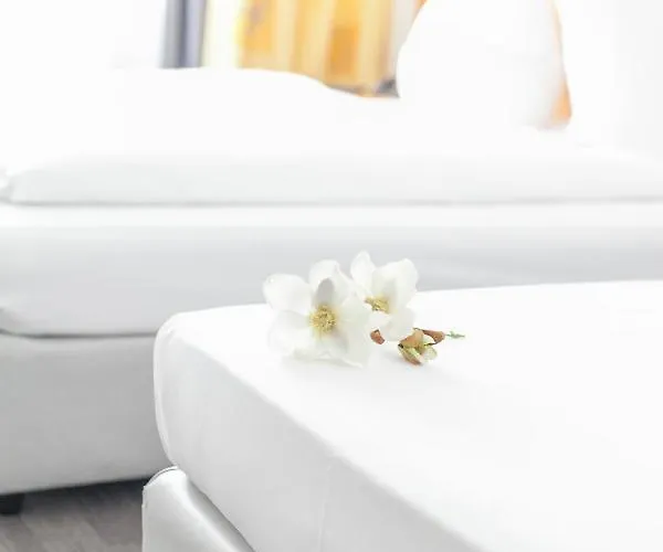 Ambiente مونستر