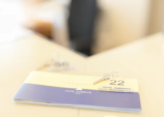 Ambiente Hotel 3*